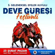 Kuyulu'da 3. Geleneksel Deve Güreşi Festivali!