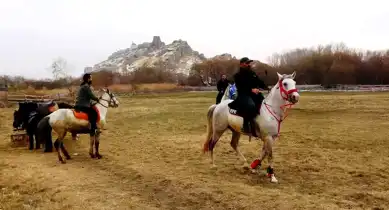 Van'da At Çiftliği Büyük İlgi Görüyor
