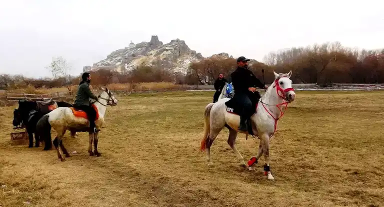 Van'da At Çiftliği Büyük İlgi Görüyor